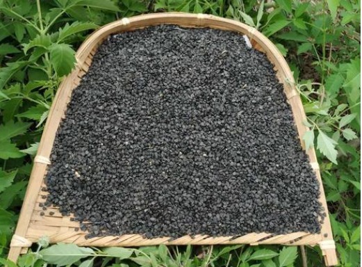 雄性激素|它是男性的“黄金水”,别不舍得喝,补充“雄激素”,肾脏更有力