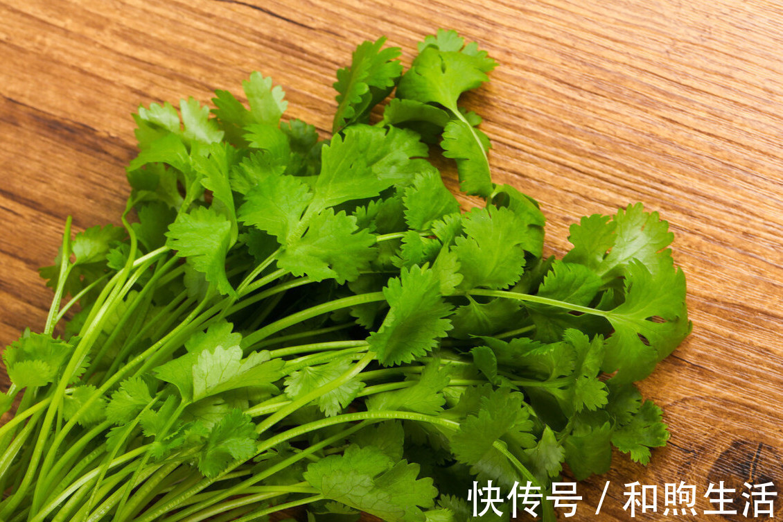 香菜|把香菜放到盒子里,存1年都不会坏,新鲜又翠绿,还能随吃随拿