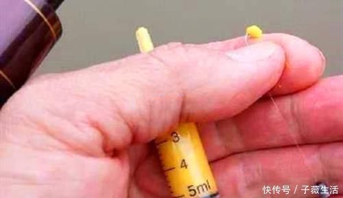 灰面|钓鱼必杀技:盘点民间这些用饵“野路子”,大鲫连竿的秘密绝招!