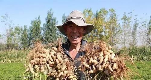 豆浆|年纪大了要补钙,家里多煮这4样食物,强健筋骨,比钙片还管用!