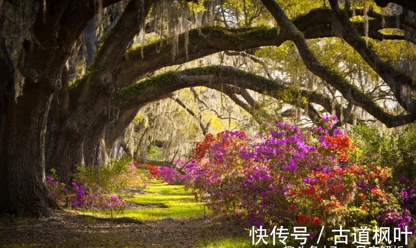 爱的人|双鱼座的一生是这样的吗？