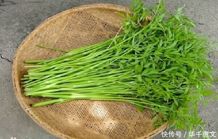 健康长寿|对身体最好的3种食物,排毒抗衰,改善便秘,缓解失眠