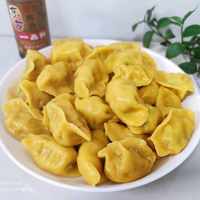 营养均衡|猪肉豆角饺子