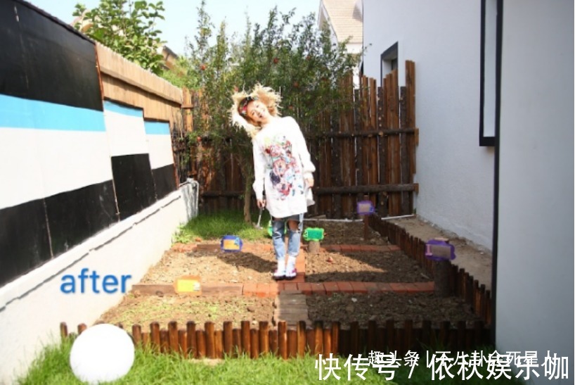 《向往》女嘉賓凌晨四點(diǎn)才睡,做了一件讓何炅很感動(dòng)的事