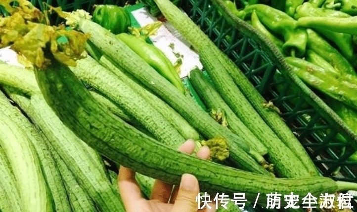 丝瓜|“夏吃瓜、身体棒”,入夏后多吃这6种瓜,忌食1种“毒瓜”,健康度夏