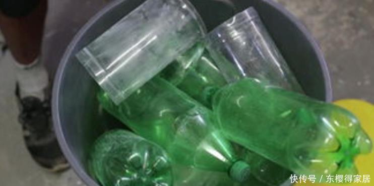 没有养花的容器、肥料?将它们“废物利用”省钱,植物长势更好