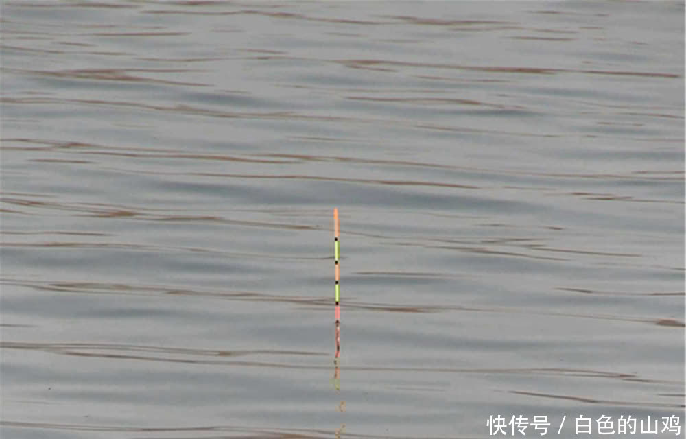 鲫鱼|钓鱼技巧:漂相无非“顶”和“顿”,知道这些漂相如何产生的吗?