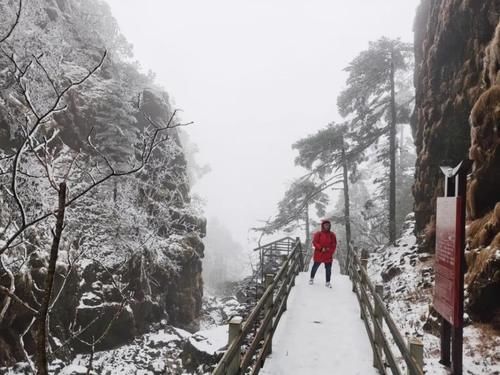 轿子|说走就走！快去轿子雪山与神奇的雾凇同框！