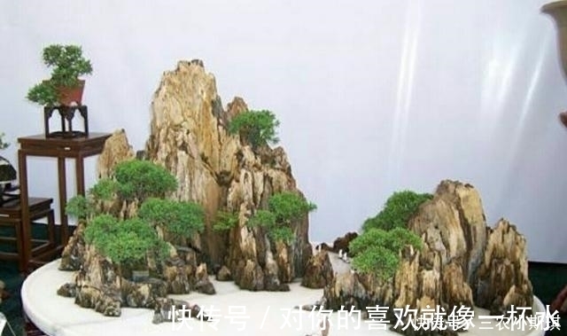 盆景|怎样才能修饰出更显自然的山水盆景