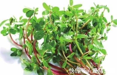 白发|这东西只有农村有,吃了白发变黑发,不知道就太可惜了