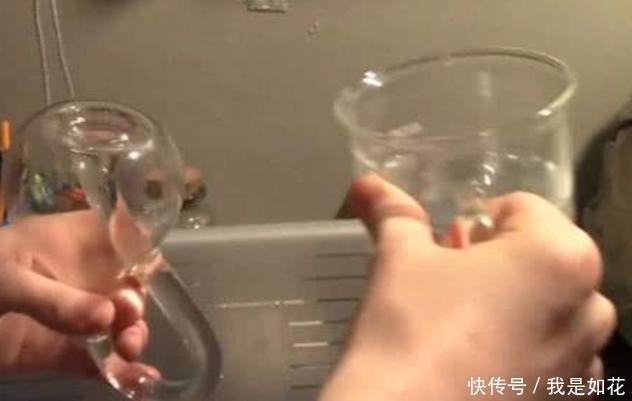 硫酸有多可怕?老外将水蛭扔进去,下一秒瞬间失控