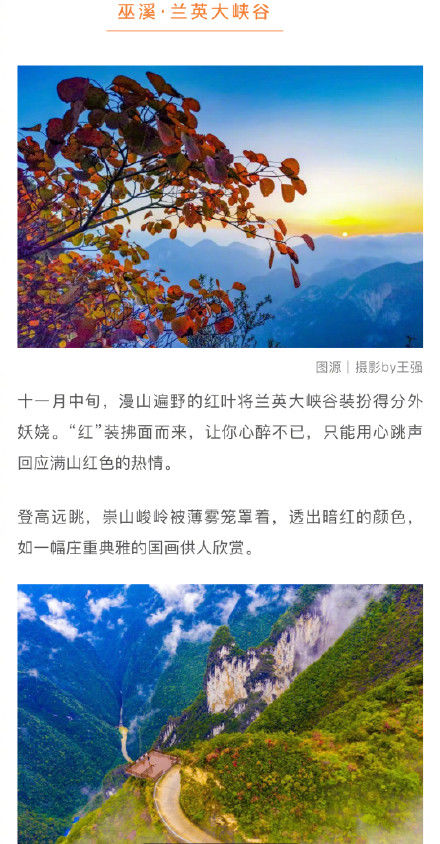 红叶|一睹山城的盛世美颜！最全重庆红叶地图请收好！