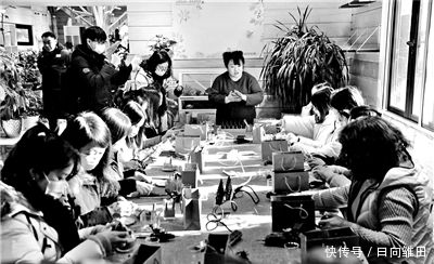 植物园建成“居家式”园艺驿站