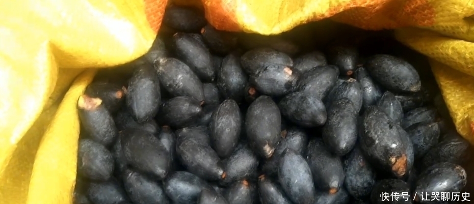 大叔街边卖“水果”,30元一斤无人买,看清是“它”后,我全包了!