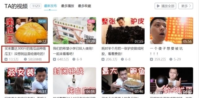 喂猪|敬汉卿挑战300斤南瓜王，自嘲是在吃猪食 ，发布不到一小时播放量上10W