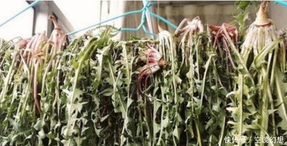 喝了蒲公英茶有什么好處？