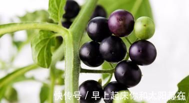 癌症|专家说:癌症最怕以下3种食物,吃点碱性食材,远离癌症