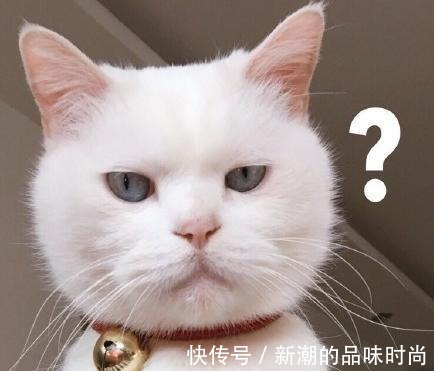 西方文化 Nike鞋没有37码,莆田谢谢提醒!其中的原因也跟迷信有关!