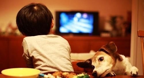 孩子|“妈妈,我在看五分钟”,三位妈妈的回答,看出孩子的教育差距