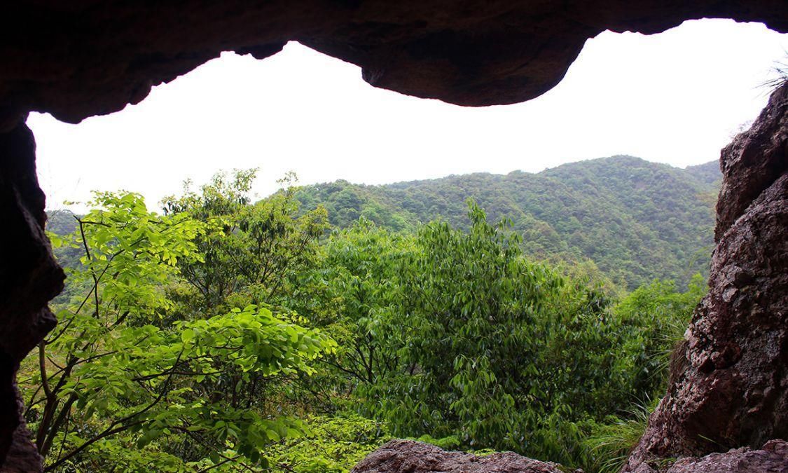 宁波红枫欣赏地，大俞、北溪、唐田，红枫绚烂