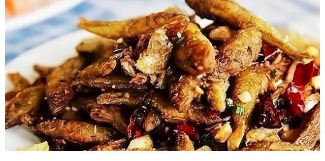 江西水库麦穗鱼泛滥？其实它已入侵34国，欧洲早就成“重灾区”