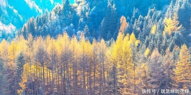 我国最大的红叶景区,相当于180个香山,这里藏着最美的秋天