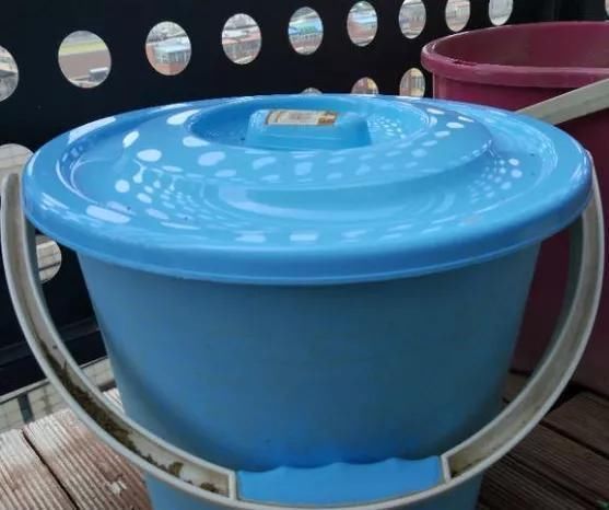 橘子皮|2斤西瓜皮丢桶里,加点水,不黄叶不烂根,花一开100朵