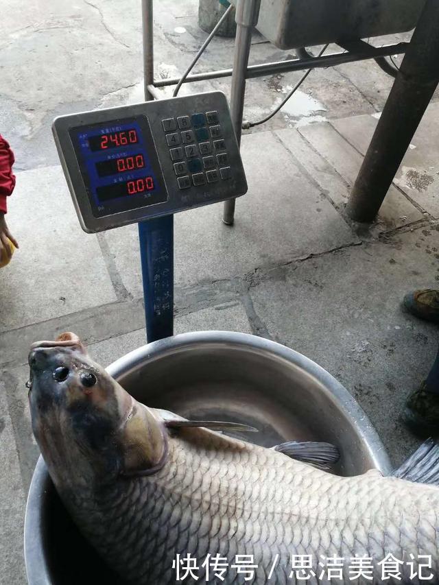 其实大鱼并不喜欢香,臭才是野钓王道,用好大钩粗线伺候