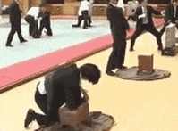 |搞笑GIF段子:关键时刻要懂得随机应变,尤其是面对强者的时候