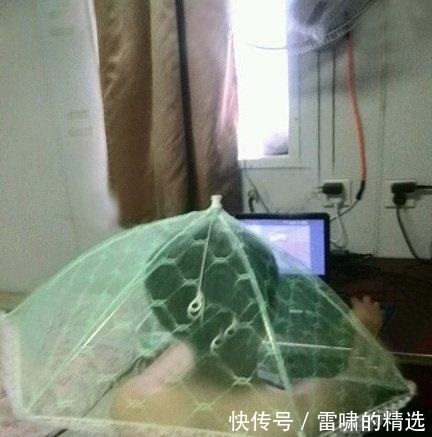 |幽默笑话：老渔夫带着他孙子出海捕鱼，没想到碰上了海啸……