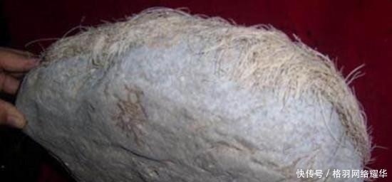 石头|男子花重金, 买下一块长着“头发”的石头