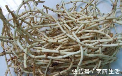 前列腺|男人过了50,这三种病没有找上门,恭喜你,十有八九会长寿