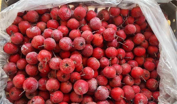 便秘|山楂加它泡水喝,隔天拉出“宿便”,便秘通了气色好,比跳绳管用