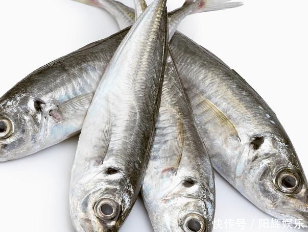 出血性疾病|经常吃鱼好处多多,可惜这4种人不能随便吃鱼!你是其中之一吗?