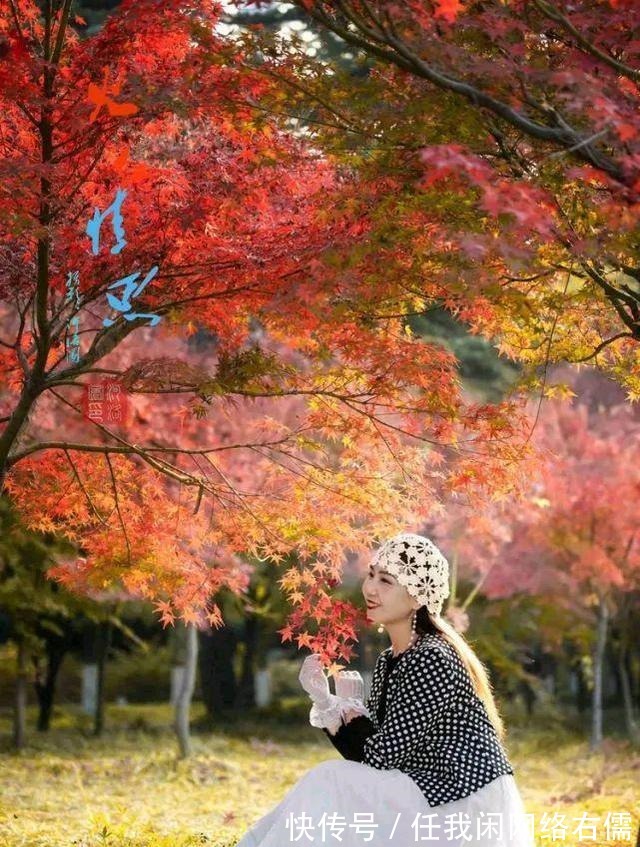 七律#律诗/七律《深秋之恋》