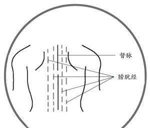  润燥|秋日练练它，滋阴润燥还养肺！让你不花一分钱，体虚的人别错过！