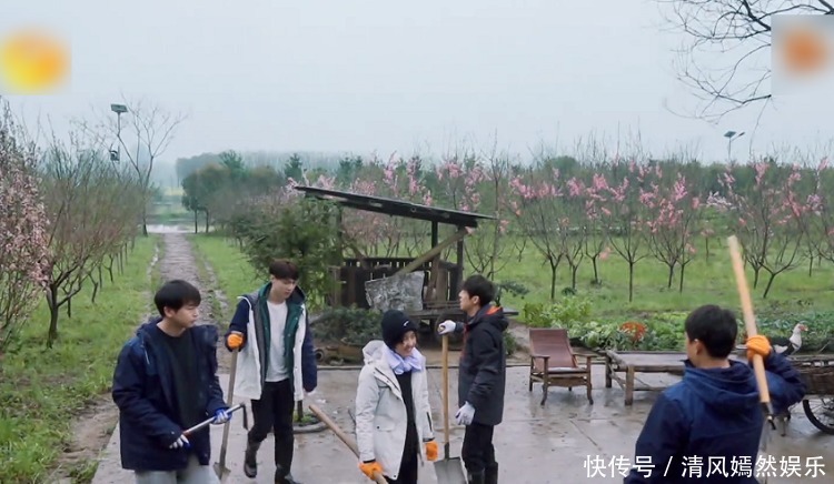 李诞|《向往5》最懒嘉宾又来了，在节目种树种到“吐”，脾气都上来了！