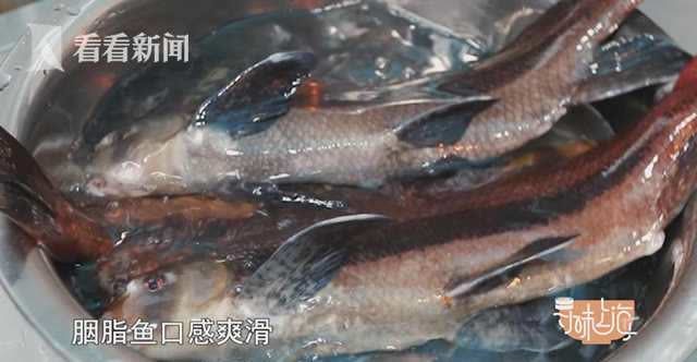 寻味上海丨胭脂鱼遇上泡菜,会擦出怎样的火花?