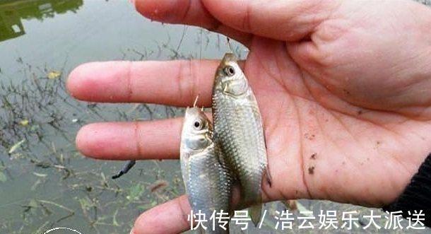 高手|野钓高手的独门技巧，专门针对杂鱼闹窝、浮漂摇摆不定的难题！