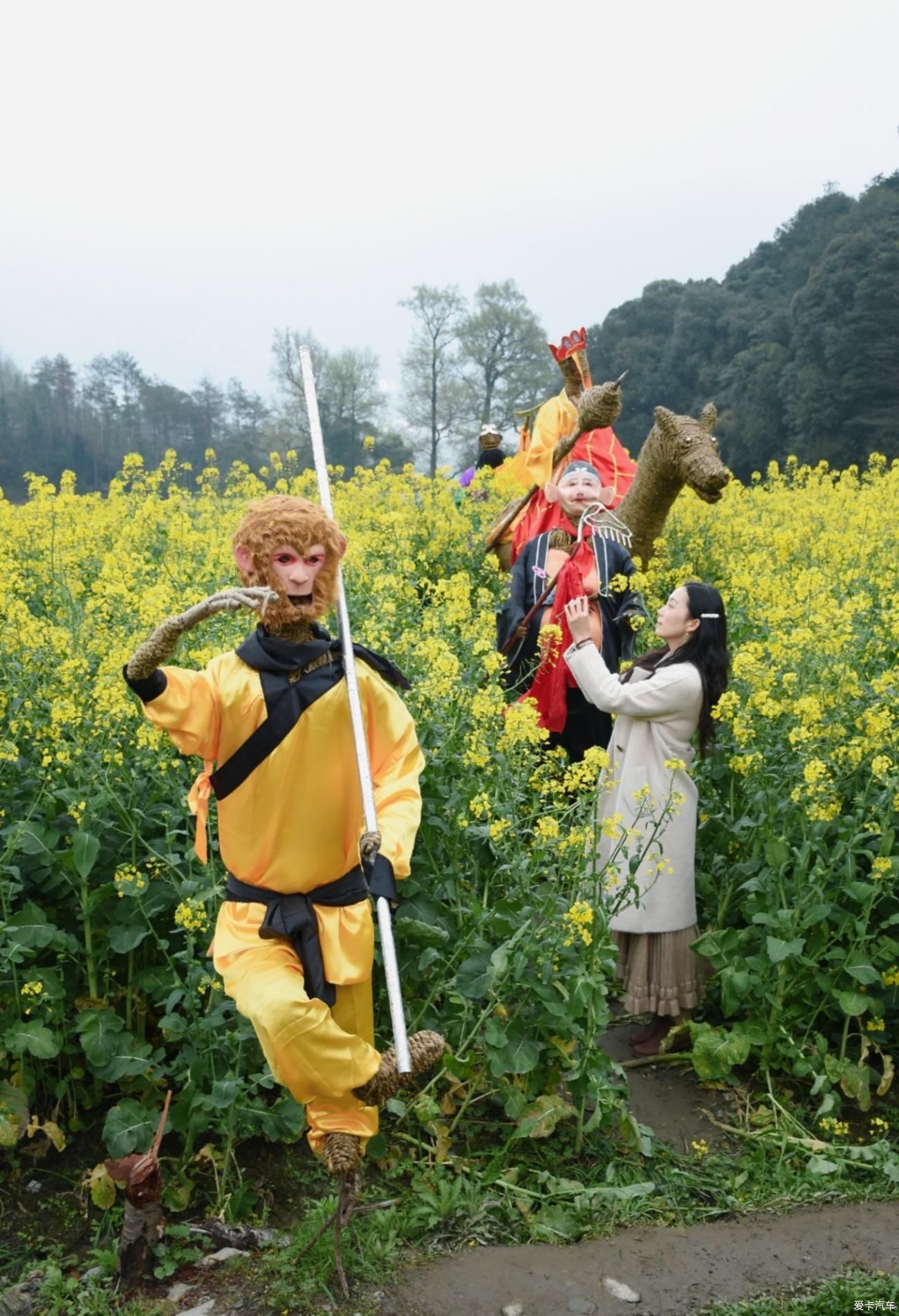 婺源|【春到婺源】记得住乡愁，江岭上开遍油菜花。