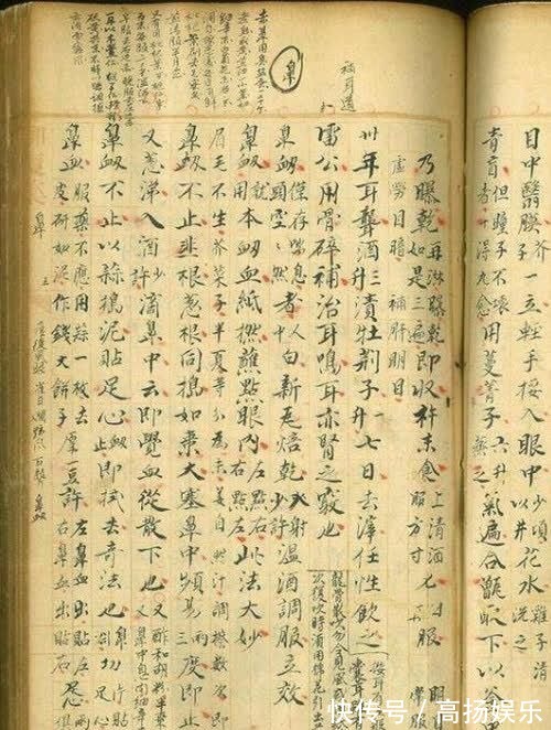 著作&200年前一位清代御医手稿，价值高达2.1亿元，字迹让现代医生汗颜