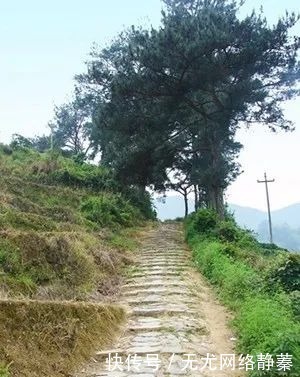 薛令|【诗话乡村】廉村,开闽第一进士薛令之故里