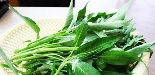 牛奶汁|想长寿要先养肝,3种食物离不开,排毒养颜,早吃早健康!