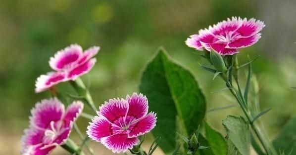 学习习惯|孩子以后能否成大器,和成绩无关,这3句话点醒无数父母