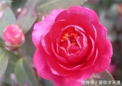 吉时|孩子生在这三个吉时,自身聚财旺家,福运绵长,长大后非富即贵