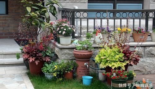 亲戚|买了电梯房的一楼,亲戚骂我脑子进水,看完阳台花园,赖着不想走