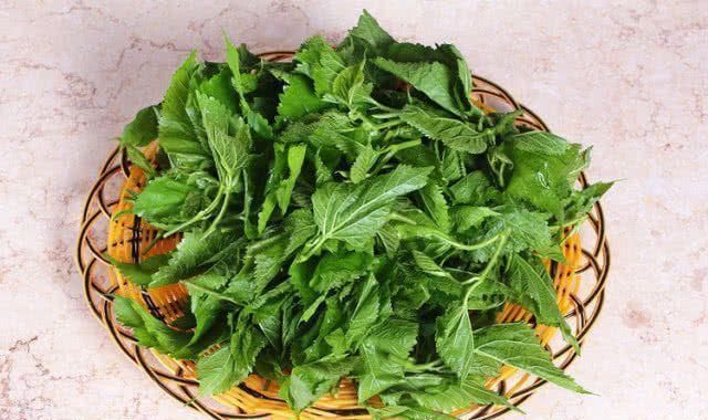 心脑血管|脑血栓的天然“清道夫”, 坚持每天吃一点, 远离血栓更健康!