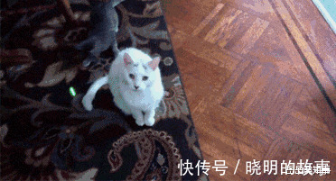 好好学习|“在拼夕夕上买了驱蚊手环,这蚊子是怎么回事?