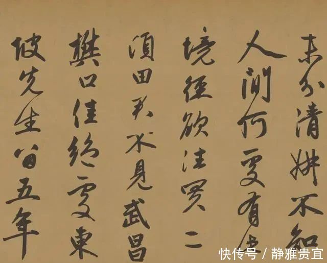 赵子昂50岁写了一幅行书,抄写了苏轼的诗句,此作潇洒飘逸