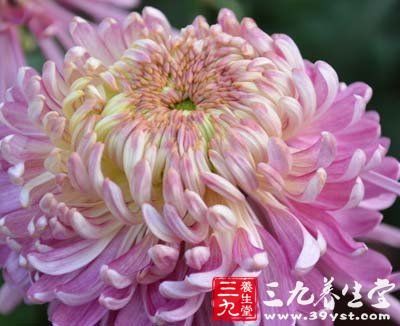 十招打造平衡心理